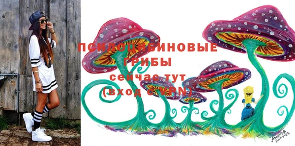 apvp Алексин
